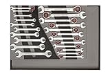Carolus Germany Tool set ratchet wrenches, open-end-wrenches [並行輸入品]