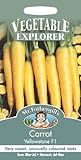 MFVX 英国ミスターフォザーギルズシード Vegetables Explorer Carrot Yellowstone F1 ベジタブル・エキスプローラー・キャロット・イエローストーン・F1