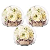 Merci la fleur ブーケ 保存 Graces グラッセ ピュア3個セット SET-H （プレートなし）