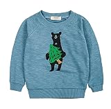 子供服 春秋 長袖 Tシャツ トレーナー 丸い襟 キッズ 男の子 女の子 ベビー おしゃれ カジュアル ファッション 可愛い 動物 熊 プリント 3色