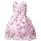 Domybest 子供服 女の子 ワンピース　フォーマル　子供ドレス　プリンセスドレス フォーマルドレス　フラワーガール　キッズドレス　 ガールズ　ベビー ワンピース 　ノースリーブ 春 夏 秋　パー
