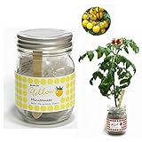 Garden Jar ガーデン・ジャー 3色トマト イエロー