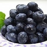 ブルーベリー 国産 2kg 山形産 冷凍