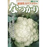 フタバ種苗 【一代交配】なつかり(カリフラワー)種・小袋詰(1.2ml)