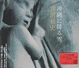 ����ɍ~���