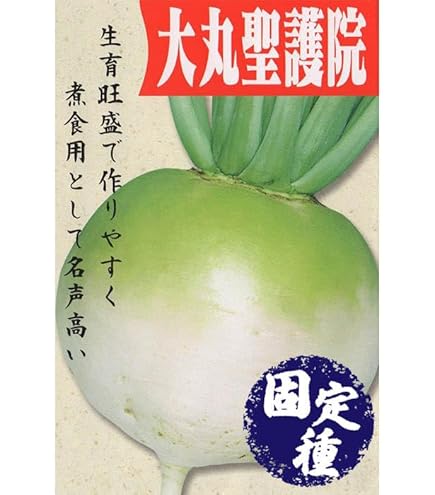 Amazon.co.jp: アサヒ農園 桜島大根（だいこんの種）【固定種】 小袋