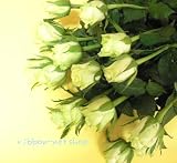 【お盆・お供え花】【法要】【命日】●悲しみのお花●お供え用バラの花束(生花) FL-OS-13