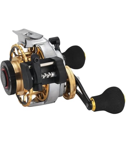 Amazon | シマノ(SHIMANO) チヌ・石鯛リール セイハコウ リミテッド
