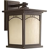 Progress Lighting P6053-20 Residence 1 Light Medium Wall Lantern, 8" [並行輸入品]