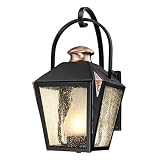 Westinghouse 6312300 Valley Forge One-Light Outdoor Wall Lantern with Copper Accents and Frosted Chi