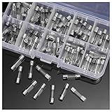 Keepjoy 100個ガラスヒューズ 5mm x 20mm 10種類 各10個