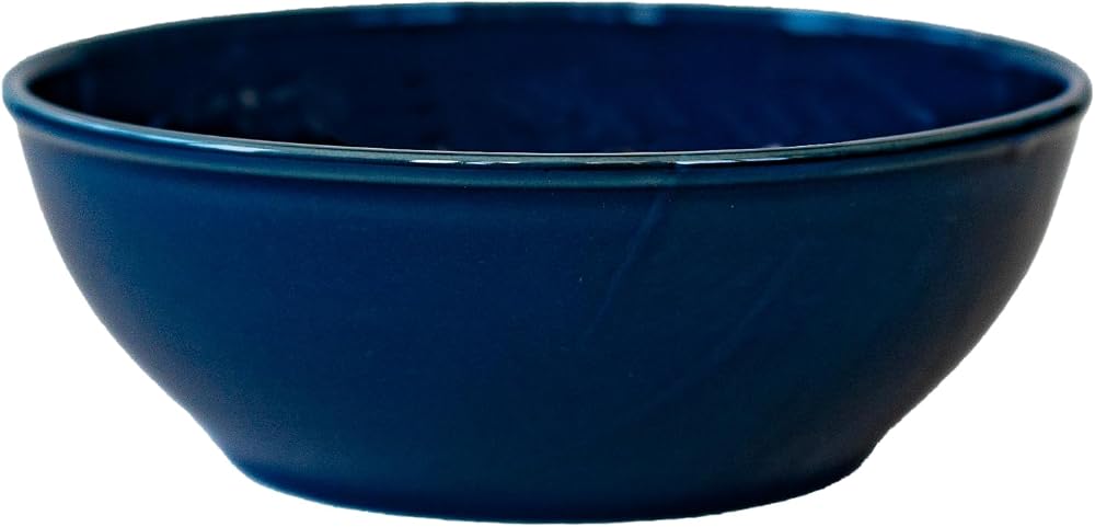 西海陶器(Saikaitoki) 波佐見焼 Common コモン ボウル 皿 ネイビー 直径約15cm 電子レンジ 食洗