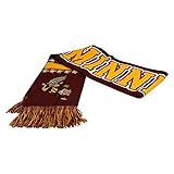 Minnesota Golden Gophers Top of the World Polarスカーフ