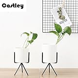植木鉢 Castley 底穴無しフラワーポット アイアン鉢スタンド付 陶器 鉢置き 鉢台 プランタースタンド セラミック オブジェ 飾り 北欧 インテリア 多肉植物 観葉植物 陶器鉢 鉢カバー ミニ 