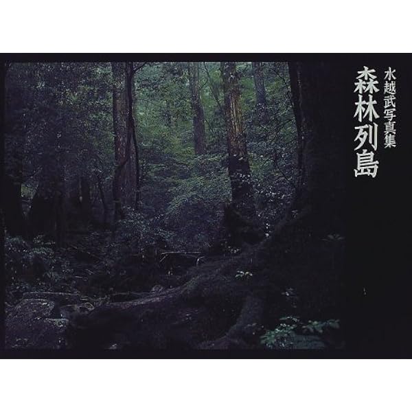 Amazon.co.jp: 真昼の星への旅 : 水越 武: 本