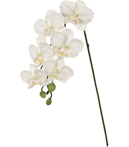 Reine De Fleur レンデフロール　胡蝶蘭　バラ かすみ草 Reine De Fleur レンデフロール 胡蝶蘭 バラ かすみ草 【公式通販】