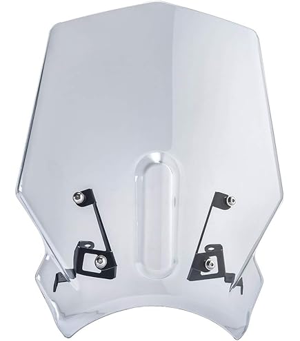 Amazon.co.jp: モリワキ(MORIWAKI) METER VISOR KIT セミ