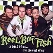A Best of Us... For the Rest of Us by Reel Big Fish (2010-07-20)