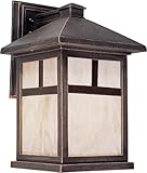 Forte Lighting 1797-01-28 Exterior Wall Light with Honey Glass Shades, Painted Rust [並行輸入品]