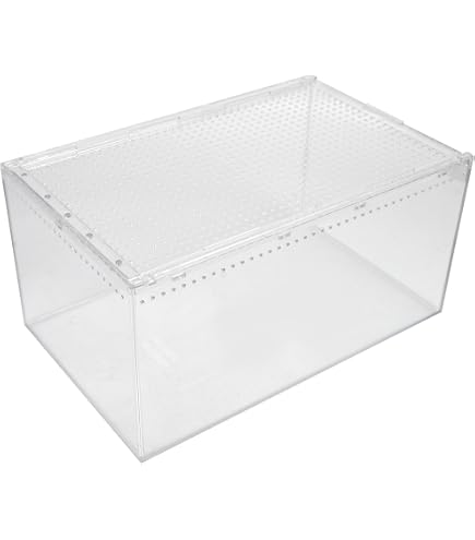 【10個】レプタイルボックス 30×20×15cm 爬虫類 ケージ 飼育ケース Amazon | 三晃商会 SANKO レプタイルボックス ワイド | Sanko | 飼育