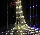 W-ONLY YOU-J 装飾LEDネットライトライト不滅のライトスターライト8屋外のクリスマスツリーガーデンパティオパーティー装飾2mx3m 200 LED（暖かい白）