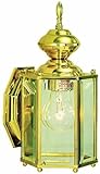 Design House 501833 Augusta Outdoor Downlight, 11-Inch by 5.5-Inch, Solid Brass [並行輸入品]