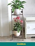 CHAOXIANG フラワーシェルフアイアンフロアタイプ2/3層植木鉢ヨーロッパのシンプルな屋内と屋外の植物ポットシェルフ (色 : ブラス ぶらす, サイズ さいず : 26cm*60cm)