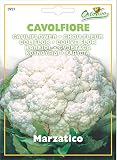 野菜の種 カリフラワー・Marzatico