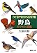 ひと目で見分ける287種 野鳥ポケット図鑑 ひと目で見分ける287種 野鳥ポケット図鑑