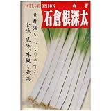 在来固定種　伝統野菜の種「石倉一本太ねぎ」5ml約850粒　畑懐〔はふう〕