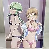 アニメ ゴブリンスレイヤー Blu-ray初回版全３巻セット虎の穴特典全巻収納BOX付