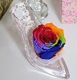 超大輪 天然のダイヤモンドレインボーローズプリザーブドフラワー　 シンデレラの靴 ハイヒール プリザーブドフラワー【画像ではダイヤが分かりずらいため別途ローズのみの画像を参照ください】【レインボーの中