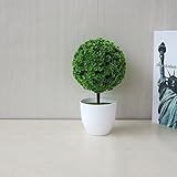 RaiFu 鉢植え 小型 【色選べる】 真似 観葉植物 シンプル 植物 スタイリッシュ ホーム オフィス デコレーション 飾り物　人気 ギフト グリーン