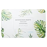 【KYOSER】珪藻土バスマット お風呂マット 足ふきマット オリジナルデザイン 消臭 速乾 防カビ 防ダニ 横60cm × 縦39cm 専用滑り止めシート付き (熱帯植物緑)