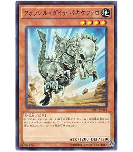 Amazon.co.jp: 遊戯王OCG 王家の眠る谷 ネクロバレー パラレル