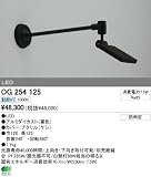 オーデリック エクステリアライト スポットライト 【OG 254 125】 OG254125