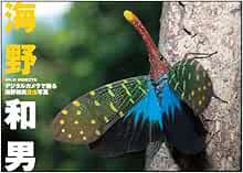 デジタルカメラで撮る海野和男昆虫写真 Wild Insects 海野 和男 本 通販 Amazon