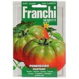 野菜の種 イタリアントマト POMODORO PANTANO 106/64