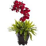 ほぼ自然1429-rd Birds Nest Fern & OrchidシルクArrangementの木製プランター、I