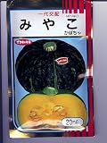 みやこ サカタのカボチャ種です