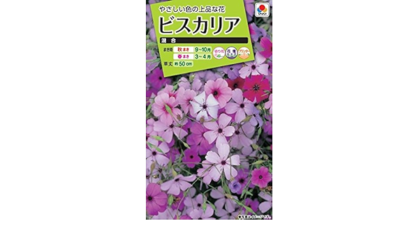 Amazon タキイ種苗 ビスカリア混合 花