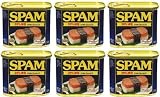 SPAM 減塩スパム 沖縄仕様 6缶パック 340グラム (x 6)