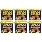 SPAM 減塩スパム 沖縄仕様 6缶パック 340グラム (x 6)