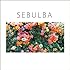 踊ってばかりの国「SEBULBA」