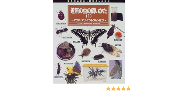 近所の虫の飼いかた 1 アゲハ アリ テントウムシほか 虫の飼いかた 観察のしかた 和男 海野 清明 高嶋 学 筒井 本 通販 Amazon 近所の虫の飼いかた 1 アゲハ アリ テントウムシほか 虫の飼いかた 観察のしかた 和男 海野 清明 高嶋 学 筒井 本 通販 Amazon