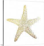 Victoriaブラウンプレミアムシックラップキャンバス壁アート印刷題名ゴールド箔ヒトデ 16" x 16" 2478092_24_16x16_none