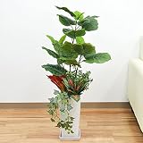 人工観葉植物 寄せ植え(フィカス・ウンベラータ) 陶器鉢