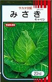 サカタのタネ　キャベツ　みさき　20ml