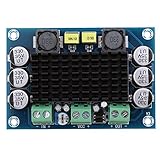 IPOTCH TPA3116D2 　チャンネル　デジタル　アンプラッシュ エボリューション　モジュール　オーディオ DC 12-26V 100W