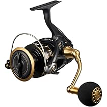 Amazon | ダイワ(DAIWA) スピニングリール 18 ブラスト LT4000-CXH